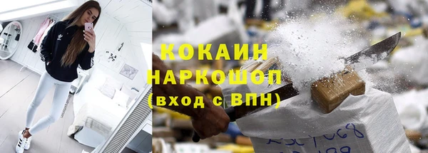 хмурый Няндома
