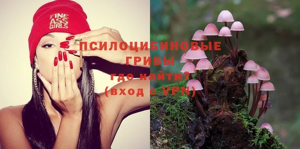альфа пвп Богородицк