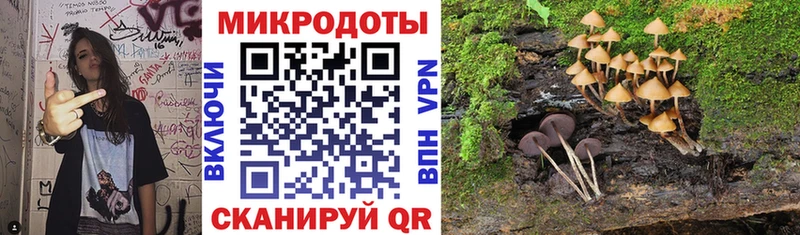 Псилоцибиновые грибы Psilocybine cubensis  Купить где  Усть-Илимск 